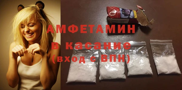 индика Верея