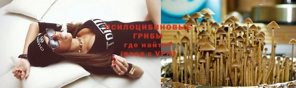 гидра Верхнеуральск
