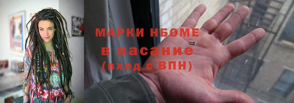 индика Верея