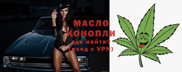 индика Верея