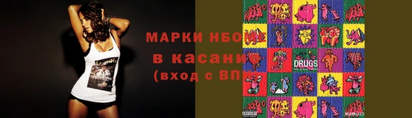 индика Верея