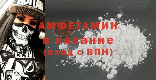 индика Верея