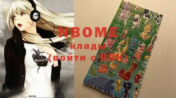 индика Верея