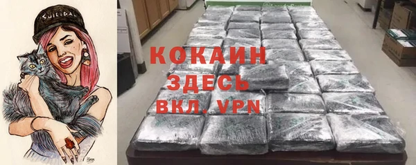 индика Верея