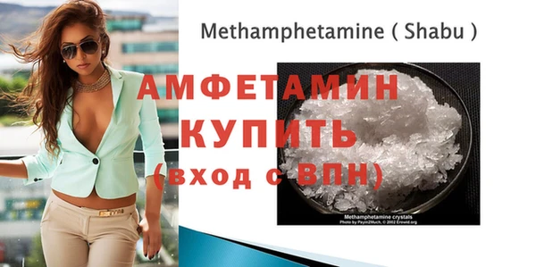 индика Верея